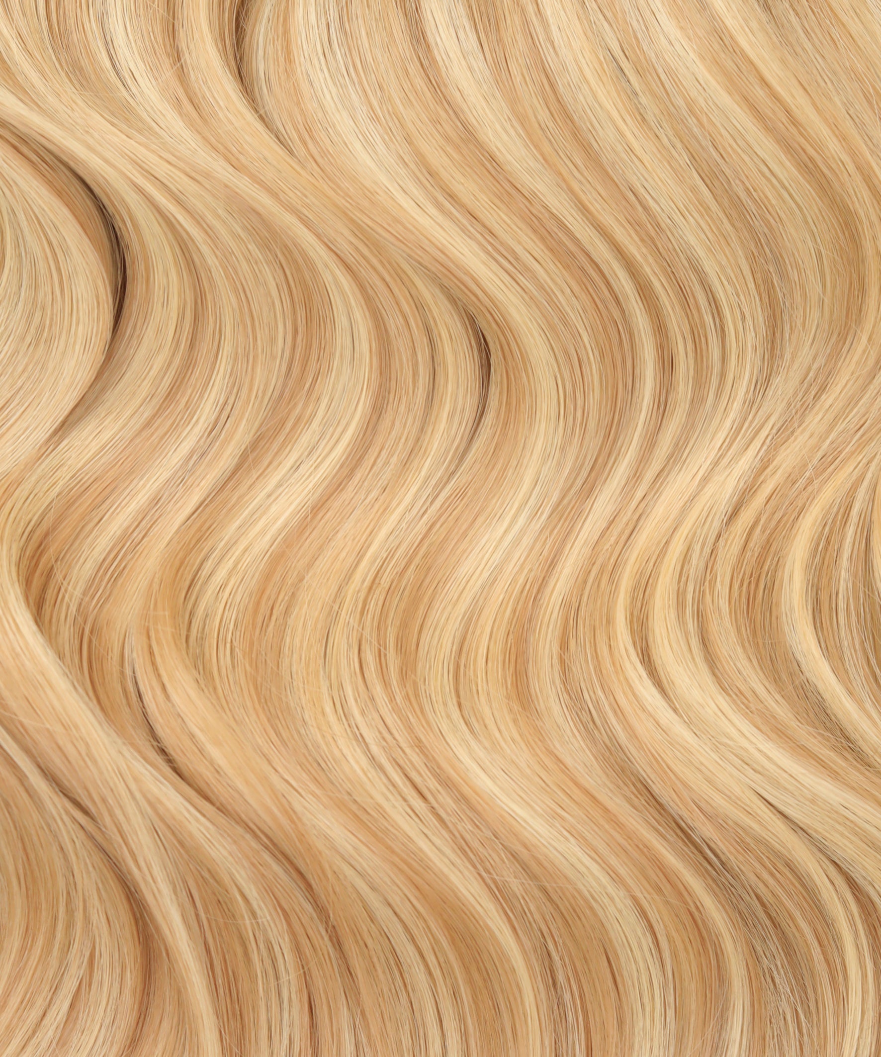 #16/22 Caramel Blonde HL Topper With Invisible Wire
