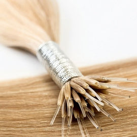 colour: #16 Caramel Dark Blonde