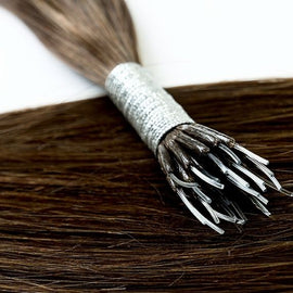 colour: #4A Medium Ash Brown