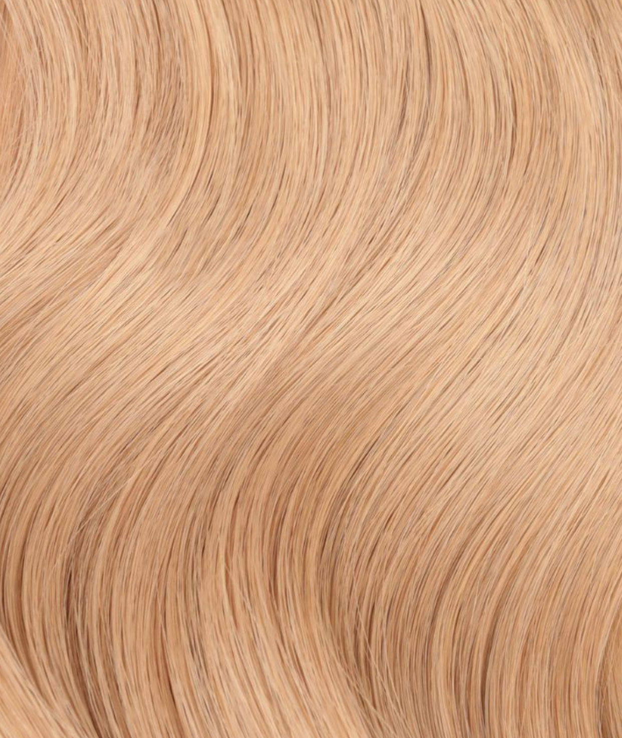 #Dirty Blonde Classic Halo Hair Extensions