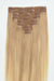 #Sandy Blonde Balayage Classic Clip In Hair Extensions 9pcs