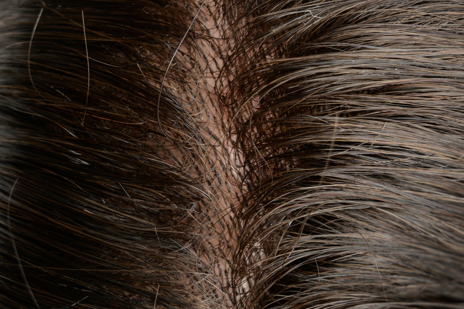 #3 Natural Warm Brown Lace Front Hair System