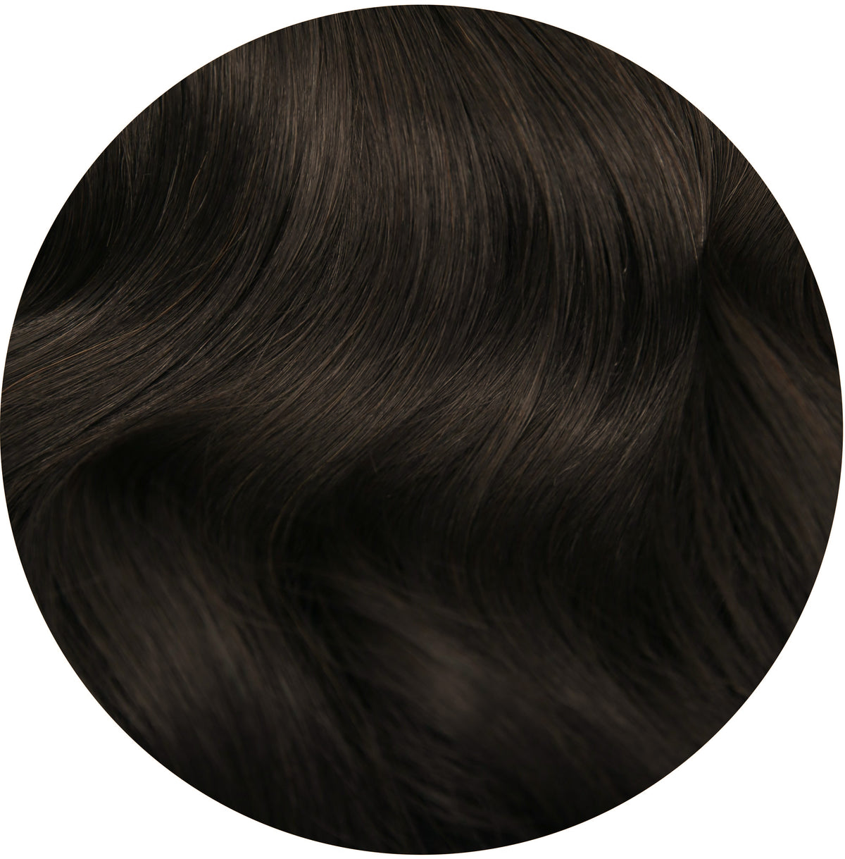 color: 1BL Darkest Brown Value Set