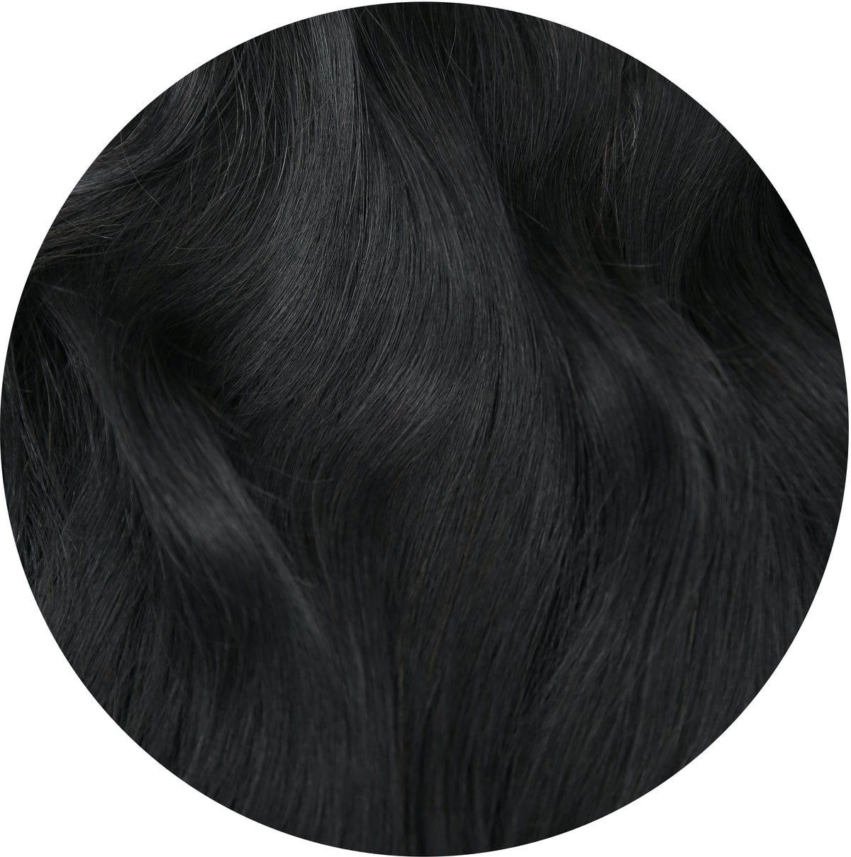 color: 1B Off Black Value Set