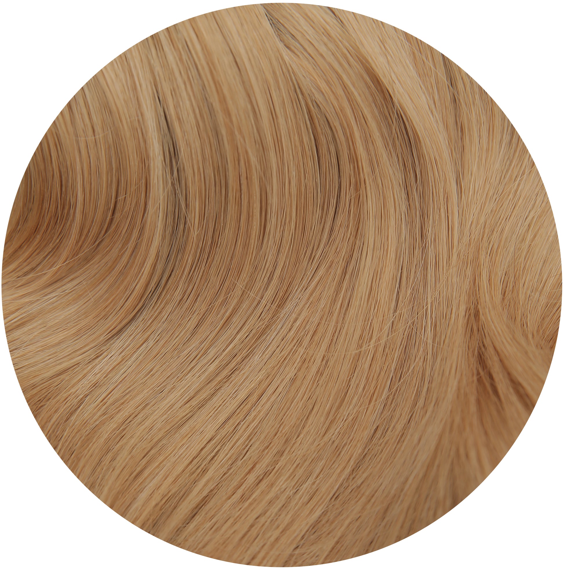 colour:#27 Strawberry Blonde Value Set