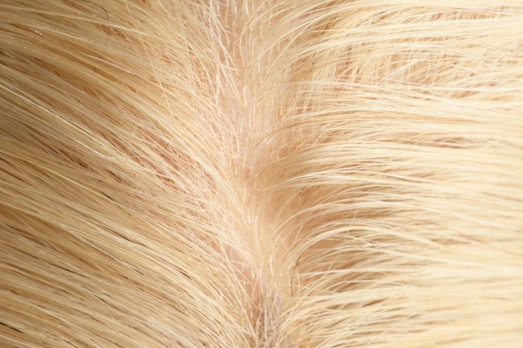 #613 Natural Blonde Skin Base Hair System